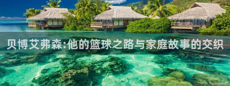 壹号大舞台娱乐app下载安装：贝博艾弗森:他的篮球之路与家庭故事的交织