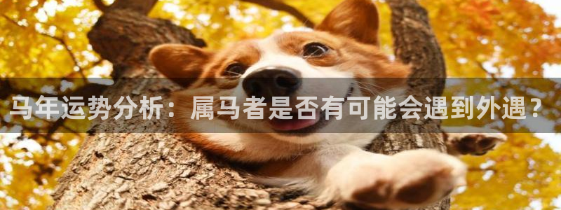 蓝狮在线平台注册：马年运势分析：属马者是否有可能会遇到外遇？