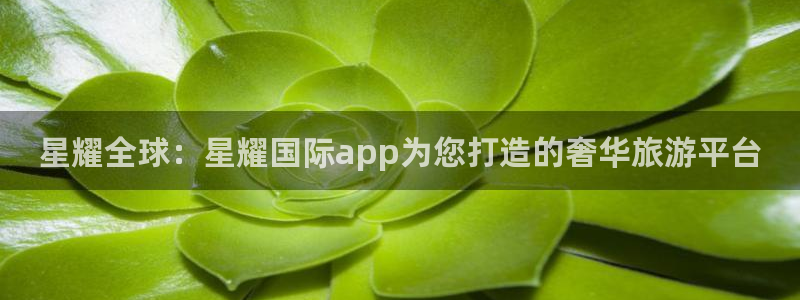 冠蓝狮网站：星耀全球：星耀国际app为您打造的奢华旅游平台