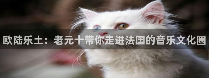 蓝狮娱乐电子游戏：欧陆乐土：老元十带你走进法国的音乐文化圈