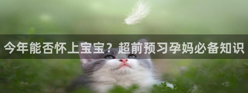 蓝狮注册登录地址：今年能否怀上宝宝？超前预习孕妈必备知识
