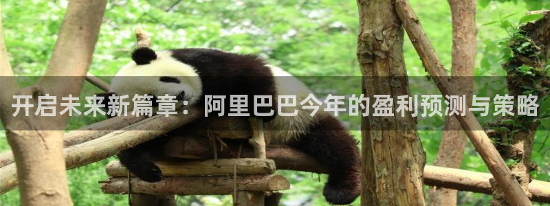 蓝狮娱乐是啥：开启未来新篇章：阿里巴巴今年的盈利预测与策略