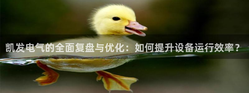 壹号电子娱乐app下载最新版本：凯发电气的全面复盘与优化：如何提升设备运行效率？