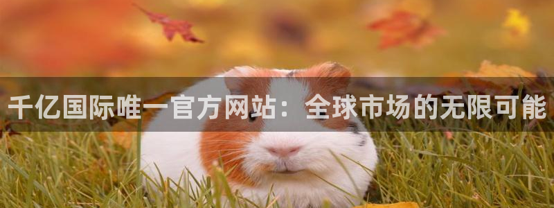 蓝狮在线app下载官网：千亿国际唯一官方网站：全球市场的无限可能