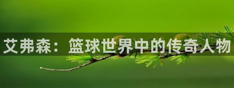 壹号大舞台：艾弗森：篮球世界中的传奇人物