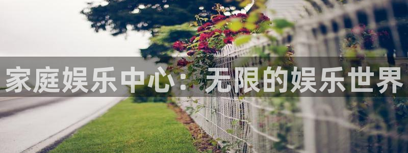 蓝狮娱乐下载官网入口在哪：家庭娱乐中心：无限的娱乐世界