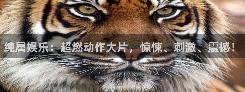 蓝狮娱乐平台官网版最新：纯属娱乐：超燃动作大片，惊悚、刺激、震撼！