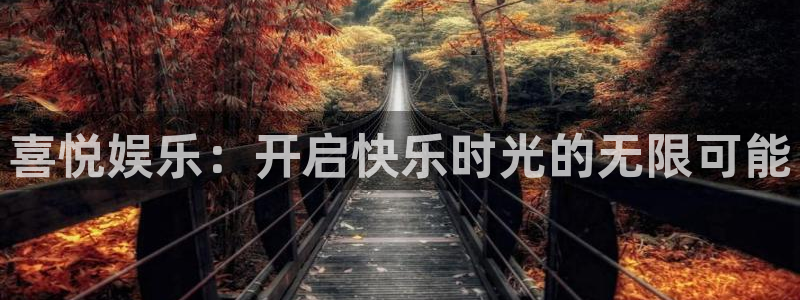 蓝狮娱乐分红代理计划：喜悦娱乐：开启快乐时光的无限可能