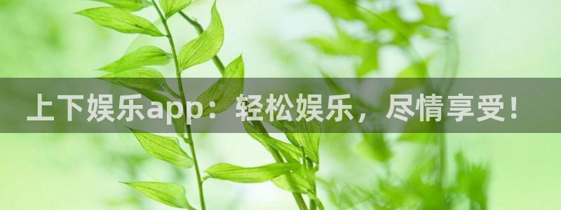 壹号注册入口app下载：上下娱乐app：轻松娱乐，尽情享受！