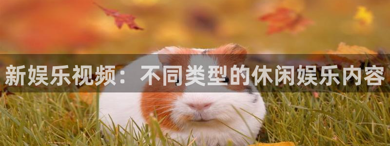 蓝狮娱乐app注册地址