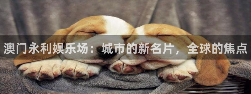 蓝狮娱乐平台app下载安装：澳门永利娱乐场：城市的新名片，全球的焦点