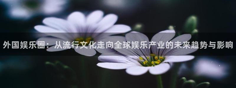 蓝狮娱乐注册平台：外国娱乐圈：从流行文化走向全球娱乐产业的未来趋势与影响