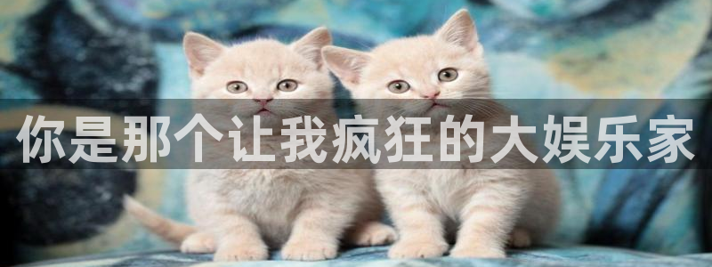 蓝狮娱乐.ccmpc登录：你是那个让我疯狂的大娱乐家