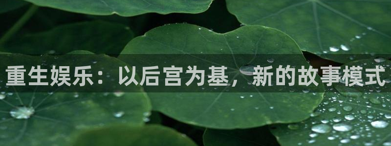 蓝狮娱乐平台官网版下载：重生娱乐：以后宫为基，新的故事模式
