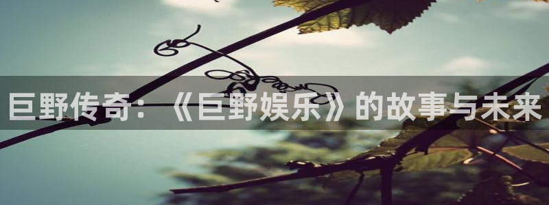 伟德国际集团 壹号(one game)：巨野传奇：《巨野娱乐》的故事与未来