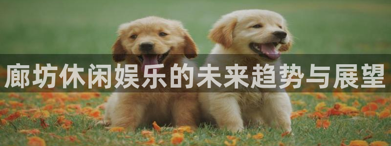 蓝狮娱乐游戏官网入口：廊坊休闲娱乐的未来趋势与展望