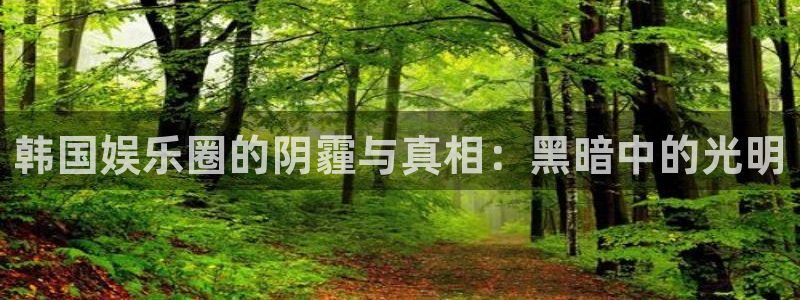 蓝狮平台登录：韩国娱乐圈的阴霾与真相：黑暗中的光明