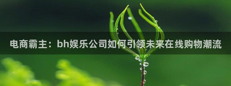 蓝狮娱乐app官网下载苹果：电商霸主：bh娱乐公司如何引领未来在线购物潮流
