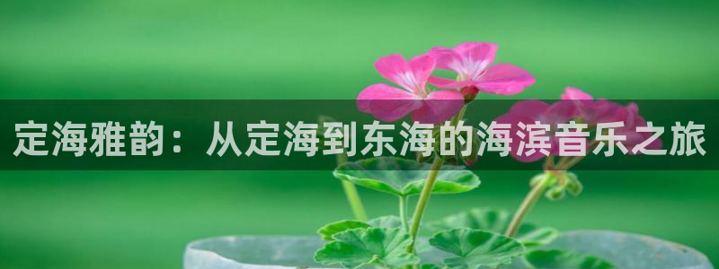 蓝狮娱乐强制退款流程详解：定海雅韵：从定海到东海的海滨音乐之旅