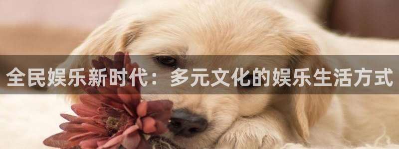 蓝狮娱乐电子游戏：全民娱乐新时代：多元文化的娱乐生活方式