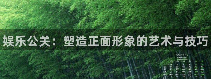蓝狮注册：娱乐公关：塑造正面形象的艺术与技巧
