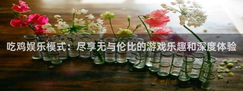 蓝狮娱乐：吃鸡娱乐模式：尽享无与伦比的游戏乐趣和深度体验