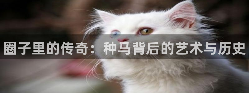 蓝狮在线外盘手续费多少：圈子里的传奇：种马背后的艺术与历史
