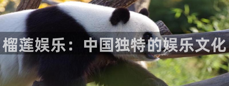 蓝狮娱乐：榴莲娱乐：中国独特的娱乐文化