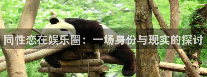 蓝狮娱乐app官网下载苹果：同性恋在娱乐圈：一场身份与现实的探讨