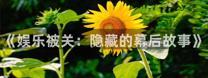 蓝狮平台开户