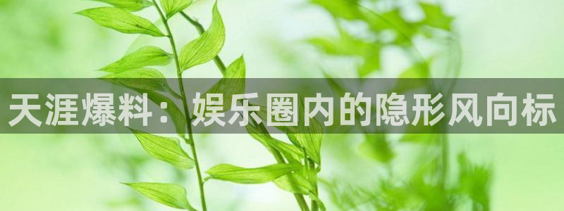 蓝狮在线链接