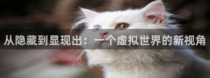壹号电子娱乐app下载安装