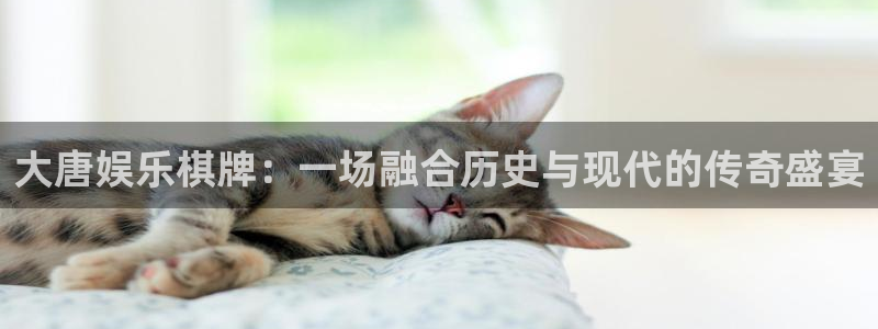 蓝狮娱乐.ccmpc29官网版下载：大唐娱乐棋牌：一场融合历史与现代的传奇盛宴
