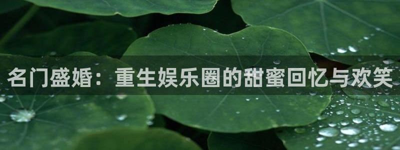 蓝狮娱乐官网地址：名门盛婚：重生娱乐圈的甜蜜回忆与欢笑