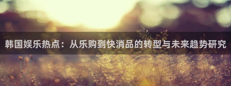 蓝狮娱乐游戏试玩：韩国娱乐热点：从乐购到快消品的转型与未来趋势研究