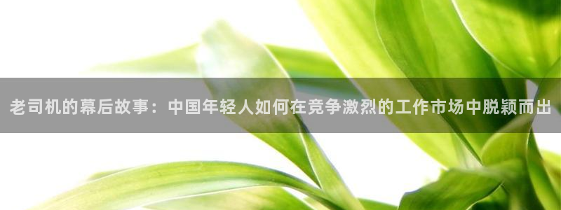 蓝狮娱乐：老司机的幕后故事：中国年轻人如何在竞争激烈的工作市场中脱颖而出