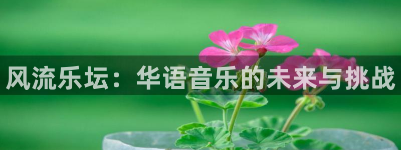 蓝狮娱乐游戏官网入口：风流乐坛：华语音乐的未来与挑战