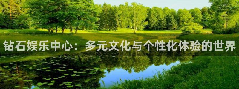 蓝狮娱乐是什么：钻石娱乐中心：多元文化与个性化体验的世界