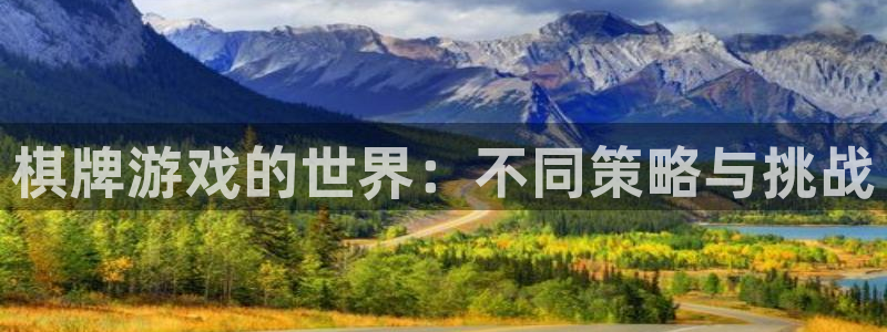 蓝狮平台登录：棋牌游戏的世界：不同策略与挑战