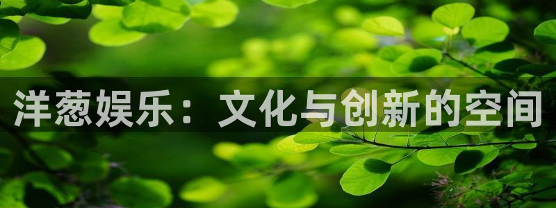 蓝狮娱乐.ccmpc正版：洋葱娱乐：文化与创新的空间