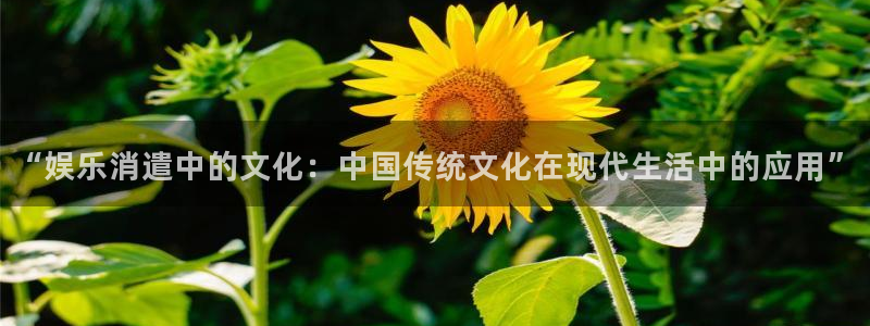 蓝狮注册：“娱乐消遣中的文化：中国传统文化在现代生活中的应用”